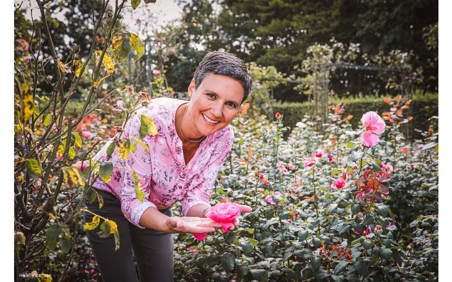 Rosengarten Bad Sassendorf Rosengarten im Kurpark Bad Sassendorf