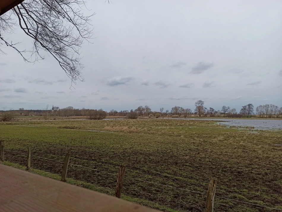 Geschafft! Im Naturschutzgebiet Woeste gibt es einiges zu entdecken. Am besten nimmt man ein Fernglas mit. Dann kann man zum Beispiel vom Beobachtungspunkt aus die Wasserbüffel besser erkennen.