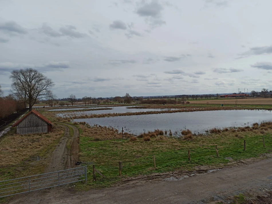Hier mal ein Blick vom neuen Aussichtsturm im Naturschutzgebiet Woeste mit Blick über die verschiedenen Wasserflächen, die Heimat verschiedener Pflanzen und Tiere sind.