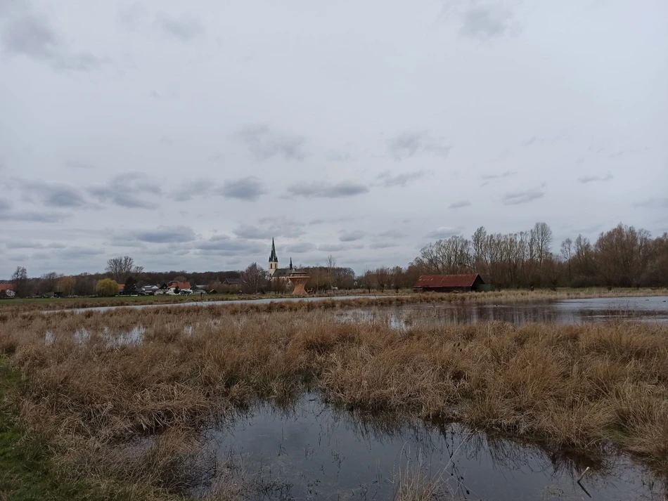 Vom neuen Ausssichtsturm eröffnet sich ein fantastischer Blick über das Naturschutzgebiet Woeste. Er fügt sich mit seiner Architektur ideal in das Gelände ein.