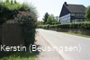 Grüne Hecken in Beusingsen (Bad Sassendorf)