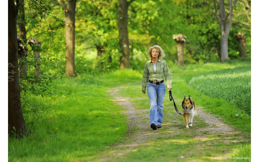 Ein besonderer Tipp ist der Wanderweg A5 nördlich von Bad Sassendorf durch das Naturschutzgebiet Rosenau.