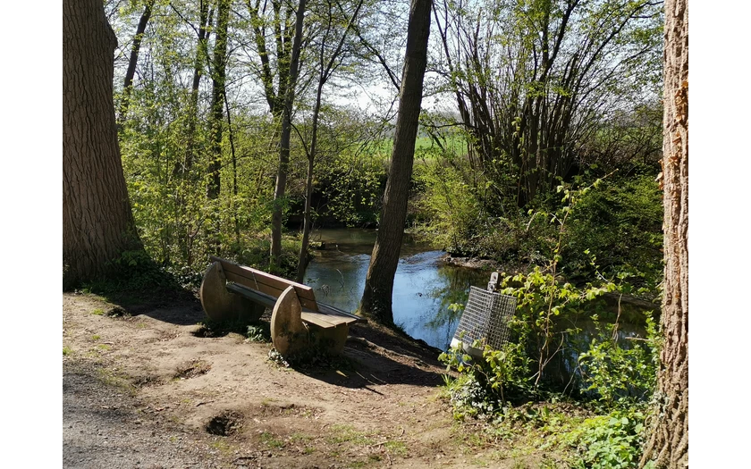 Sitzgelegenheit an der Rosenau.