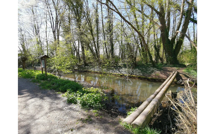 Der Weg über die Rosenau für alle Balance-Talente.