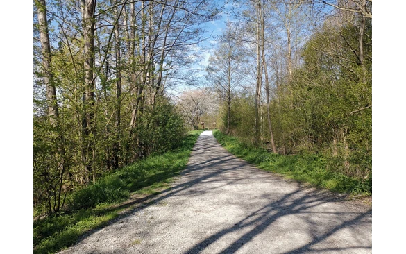 Die Wanderung startet auf dem Wanderparkplatz am Klärteich