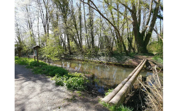 Der Weg über die Rosenau für alle Balance-Talente.