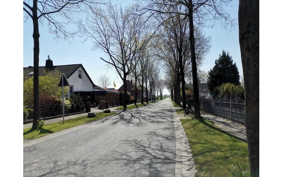 Der Kirchkamp in Weslarn. Eine traumhafte Allee!