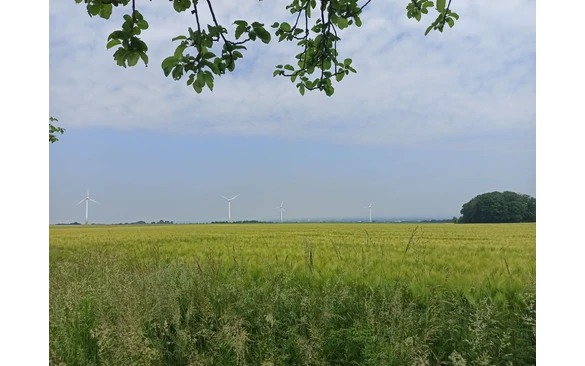 Ein erster Blick auf Soest, ein wenig im Dunst, trotzdem schön...