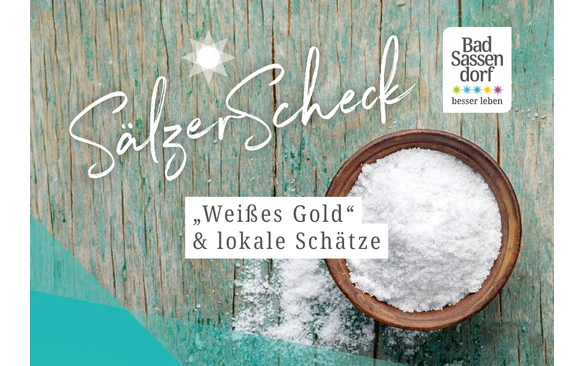 Teaserbild SälzerScheck