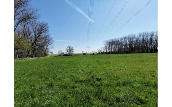 Blicke in die Felder der Soester Börde.