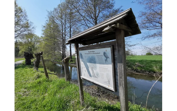 Die Infotafel zu den Kopfweiden. Hier steht sie!