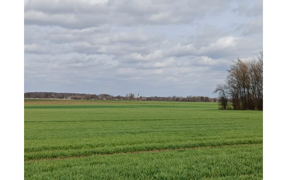 Auf dem Kreuzweg von Weslarn nach Bettinghausen kann man schon einmal einen Blick auf Ostinghausen werfen, wo später der Weg zurück nach Weslarn verläuft.