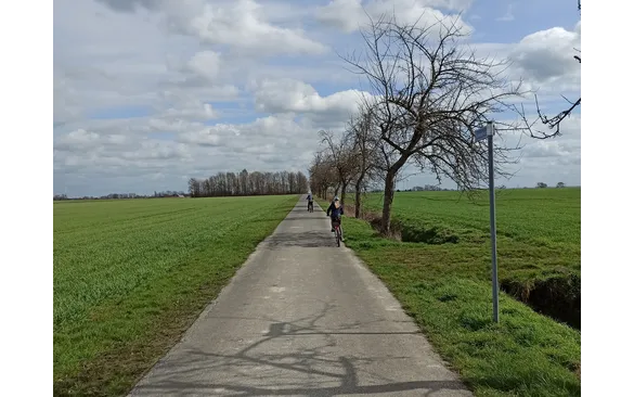 Links und rechts säumen Felder den Weg von Weslarn nach Bettinghausen.