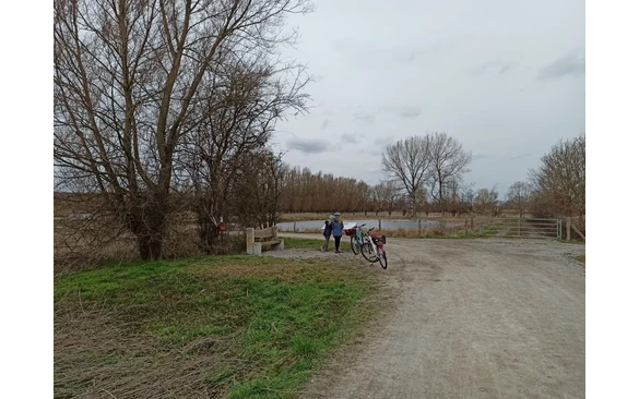 Die Informationstafeln zeigen, welche Pflanzen und Tiere im Naturschutzgebiet Woeste beheimatet sind.