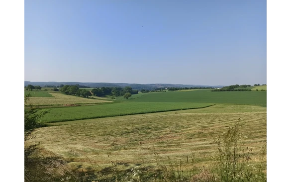 Eine wunderschöne Hügellandschaft am Möhnesee mit Blick auf den Möhneturm.