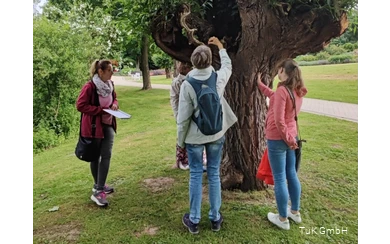 Im Kurpark Bad Sassendorf den Fokus auf Details in der Natur zu richten und wunderschön Verborgenes zu finden, ist Teil des Achtsamkeitsspaziergangs mit Christiane Schnitker.