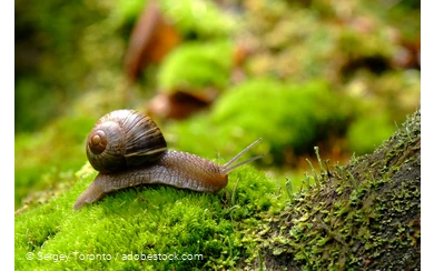 Augenblickmaltouren im Kurpark