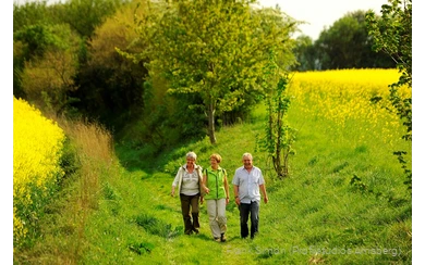 Ob allein oder in der Gruppe - Zehn Wanderwege gibt es rund um Bad Sassendorf, auf denen Sie die zwölf Ortsteile der Gemeinde kennen lernen.