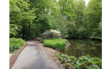 Rhododendronpark im Kurpark Bad Sassendorf