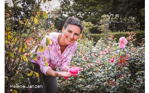 Rosengarten im Kurpark Bad Sassendorf