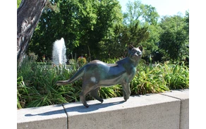 In der Nähe des Gradierwerks im Kurpark Bad Sassendorf befindet sich diese Bronzeskulptur einer Katze, gegenüber befindet sich eine weitere, die sich zu belauern scheinen. Neben den Katzen gibt es noch viele weitere Skulpturen im Kurpark Bad Sassendorf.