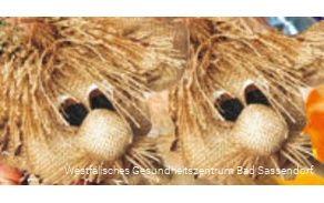 "Kurmäuse basteln" ist ein Angebot in der Kreativwerkstatt der Klinik Lindenplatz in Bad Sassendorf.