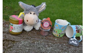 Gäste-Information Bad Sassendorf