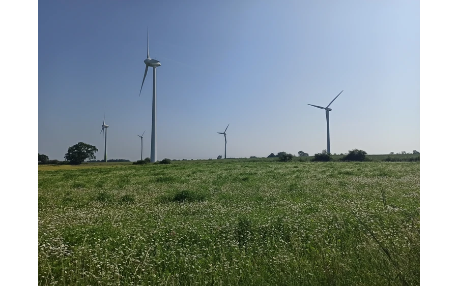 Ein schönes Bild - Windräder und Wildblumenwiese auf dem Haarstrang.