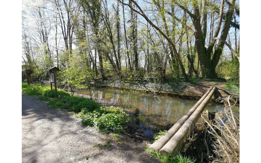 Der Weg über die Rosenau für alle Balance-Talente.