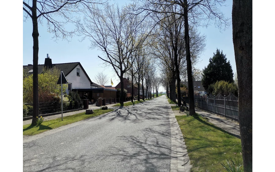 Der Kirchkamp in Weslarn. Eine traumhafte Allee!