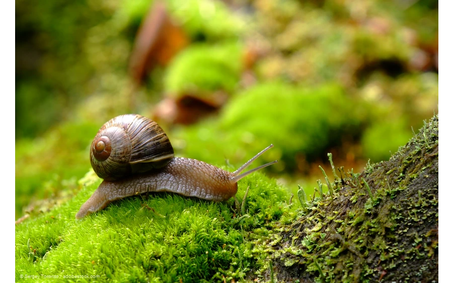Augenblickmaltouren im Kurpark