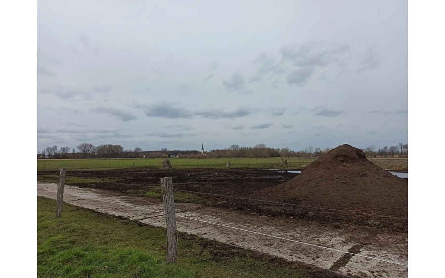 Im Naturschutzgebiet Woeste wird das Bad Sassendorfer Moor abgebaut, das in der Börde-Therme in Form von Packungen abgegeben wird.