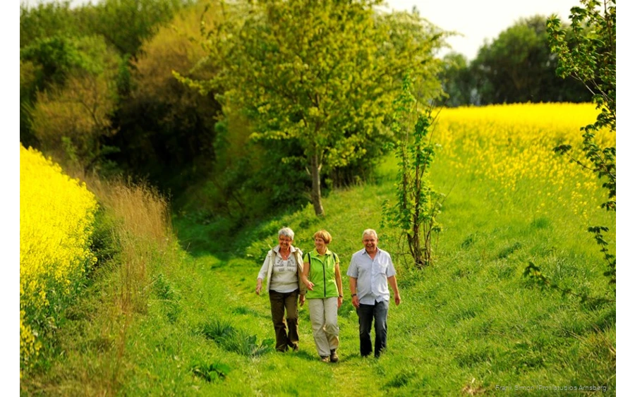 Ob allein oder in der Gruppe - Zehn Wanderwege gibt es rund um Bad Sassendorf, auf denen Sie die zwölf Ortsteile der Gemeinde kennen lernen.