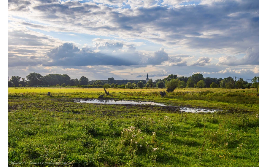 Naturschutz- und Moorabbaugebiet Woeste - Bad Sassendorf