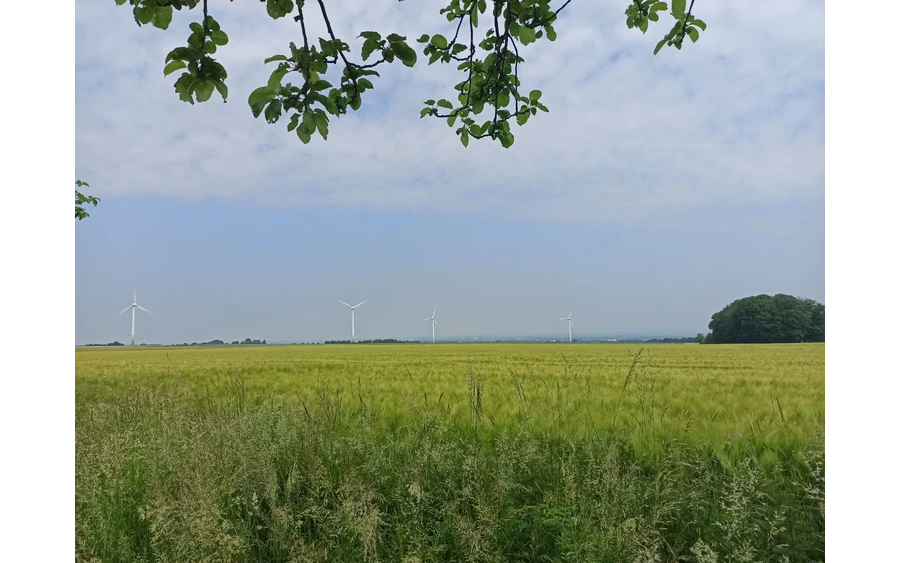 Ein erster Blick auf Soest, ein wenig im Dunst, trotzdem schön...