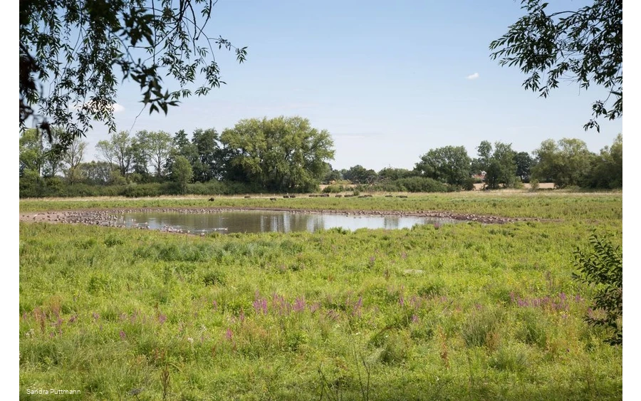 Naturschutzgebiet Woeste bei Bad Sassendorf