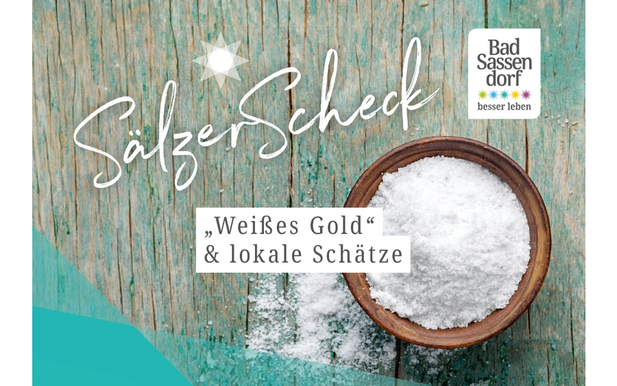 Teaserbild SälzerScheck