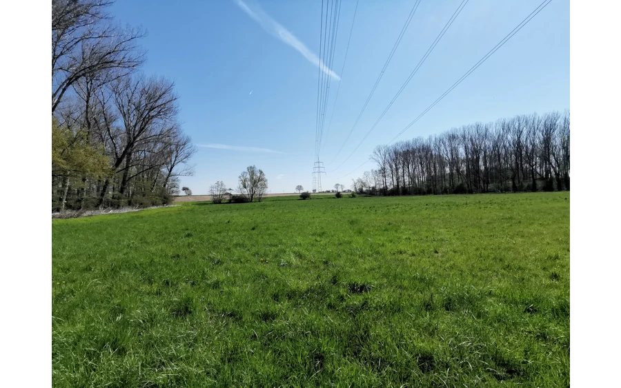 Blicke in die Felder der Soester Börde.