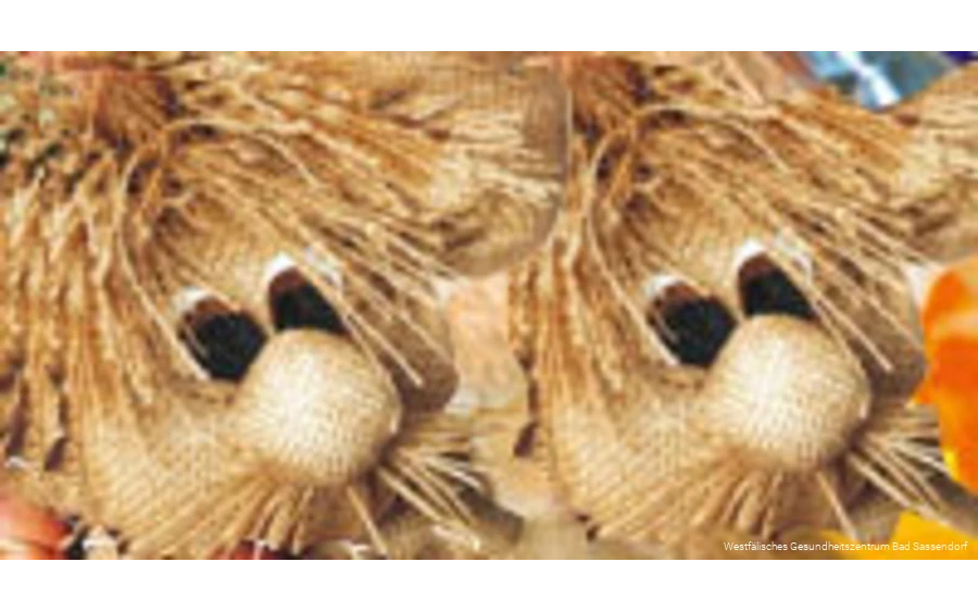 "Kurmäuse basteln" ist ein Angebot in der Kreativwerkstatt der Klinik Lindenplatz in Bad Sassendorf.