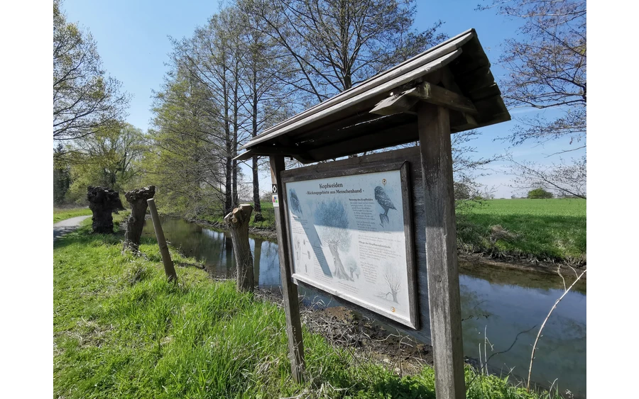 Die Infotafel zu den Kopfweiden. Hier steht sie!