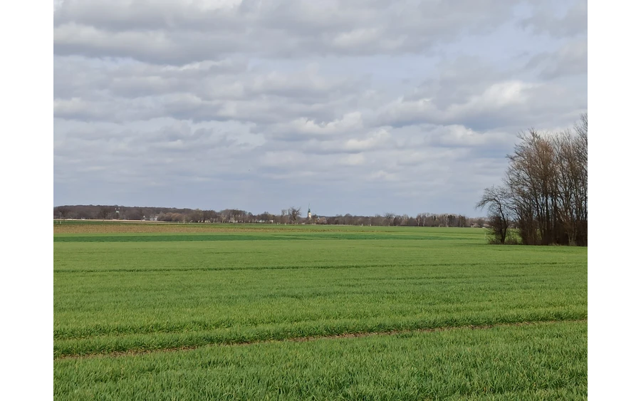 Auf dem Kreuzweg von Weslarn nach Bettinghausen kann man schon einmal einen Blick auf Ostinghausen werfen, wo später der Weg zurück nach Weslarn verläuft.