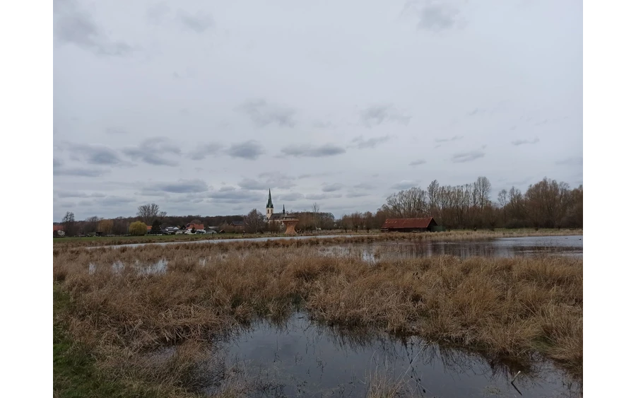 Vom neuen Ausssichtsturm eröffnet sich ein fantastischer Blick über das Naturschutzgebiet Woeste. Er fügt sich mit seiner Architektur ideal in das Gelände ein.