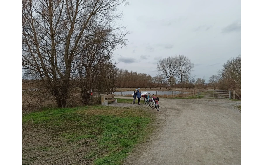 Die Informationstafeln zeigen, welche Pflanzen und Tiere im Naturschutzgebiet Woeste beheimatet sind.