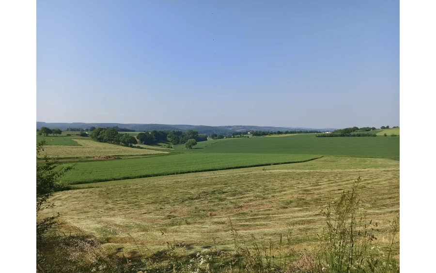 Eine wunderschöne Hügellandschaft am Möhnesee mit Blick auf den Möhneturm.