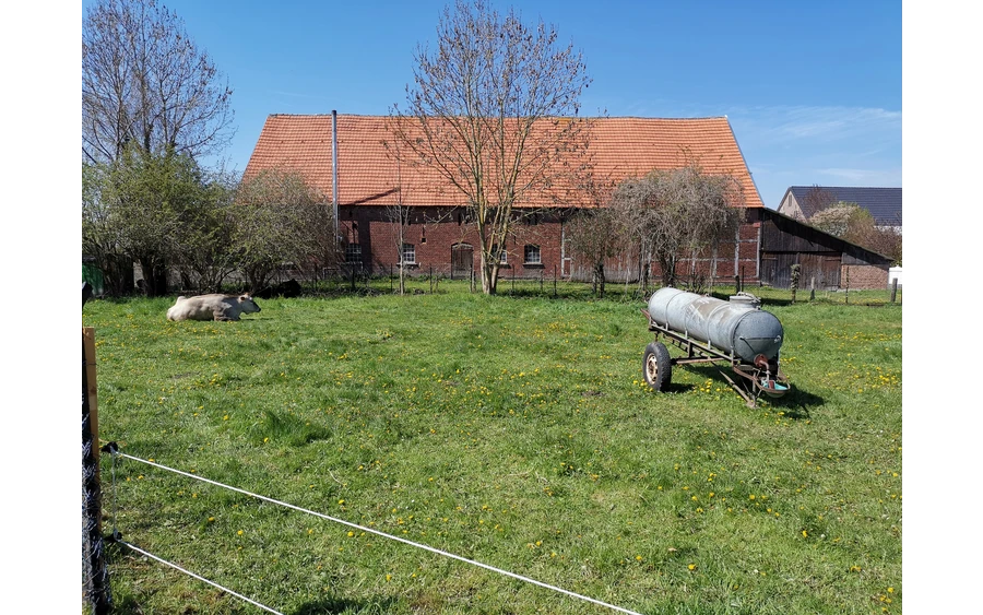 Tiere am Wegesrand in Weslarn.
