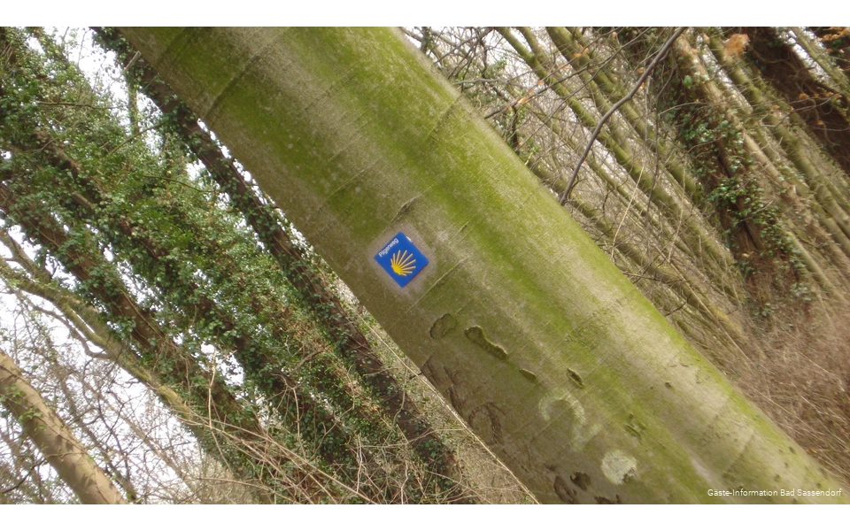 Der Jakobsweg und der Mythos um das Grab des Heiligen Jakobus faszinieren Jung und Alt auf der ganzen Welt. Auch Wege aus Westfalen führen dorthin. Der Weg von Höxter nach Bochum führt durch Bad Sassendorf.