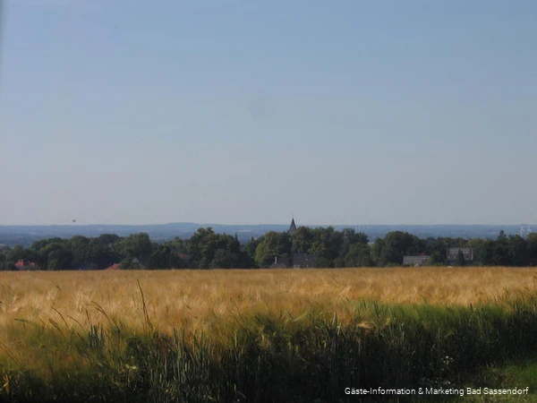 Blick auf Neuengeseke