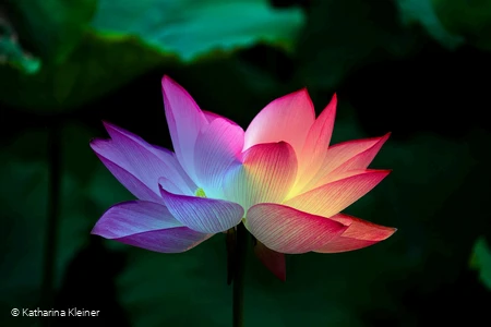 Sinn finden - 28.05.2026