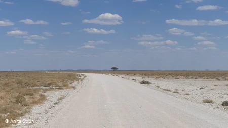 Namibia - 06.06.2024