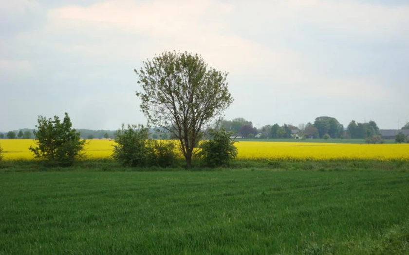 Opmünden in der Soester Börde
